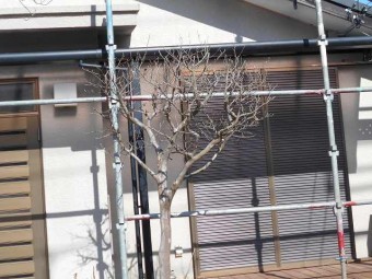 養生工事
