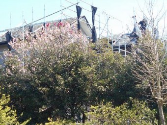 屋根葺き替え工事