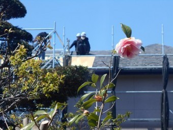 屋根葺き替え工事