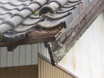 台風被害