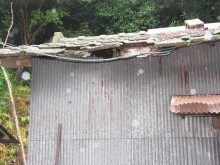 台風被害