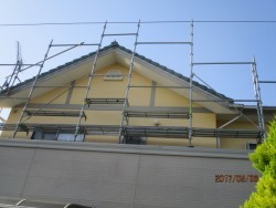 スズメ対策4