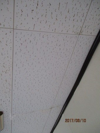雨漏り工事