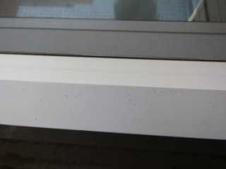 雨漏り工事2