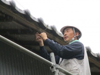 池田5