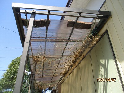 ベランダの屋根波板交換