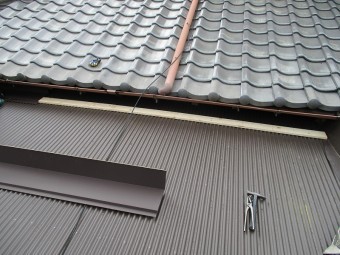 長谷川2