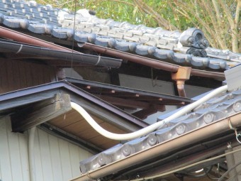 鈴木1