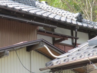 鈴木4