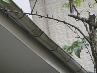 村上3