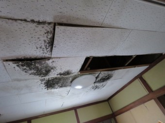 雨漏り調査