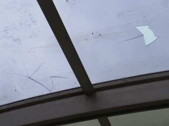 ひょう被害4