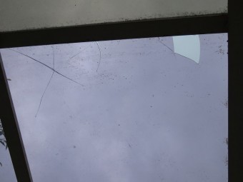 ひょう被害6