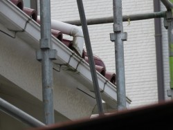 雨樋交換1