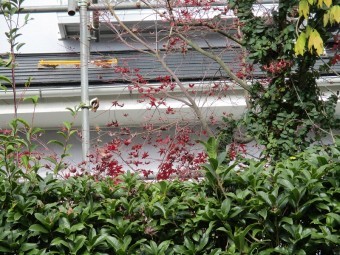 阿見町2