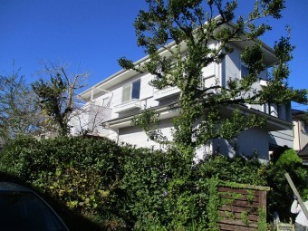 田1
