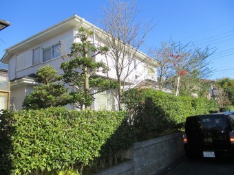 田3