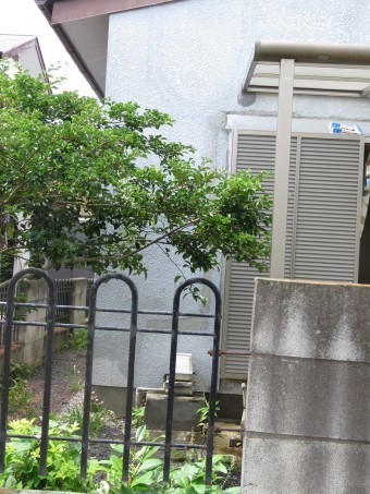 雨漏り3