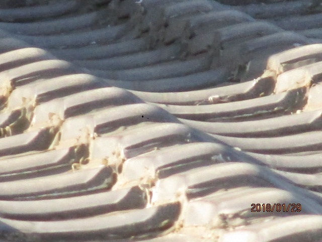 屋根葺き替え工事