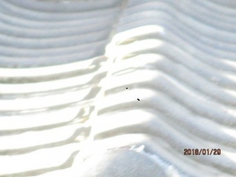 屋根葺き替え工事