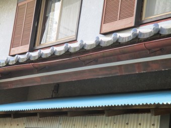 安田2