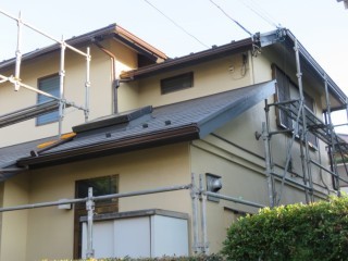 ひょう被害2