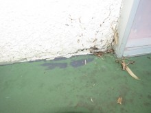 外壁の状況