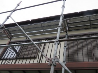 ひょう被害