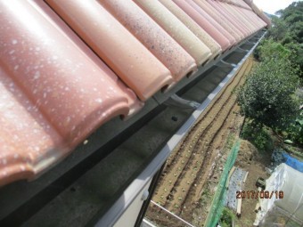 雨樋調査1