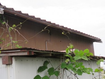 雨漏り工事