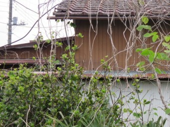 雨漏り工事