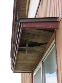 霧除け被害
