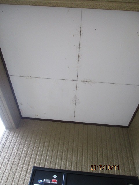 玄関天井