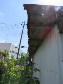 軒天被害