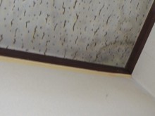 雨漏り工事
