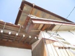 ムク鳥退治工事