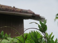 屋根被害