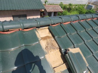 雨漏り被害