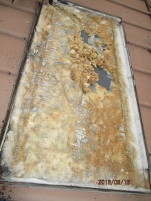 温水器の撤去作業