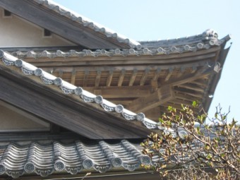 おみたま4