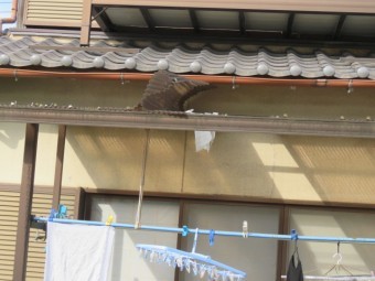 台風被害