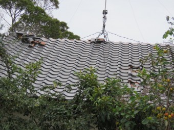台風被害