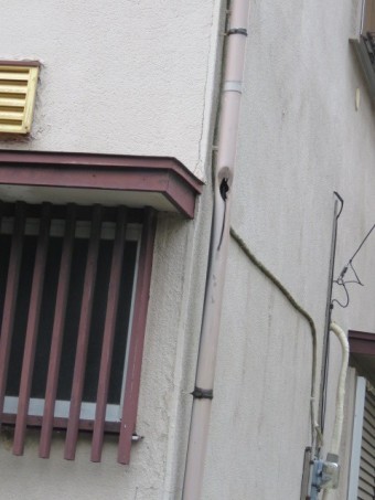 縦樋被害