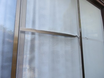 台風被害