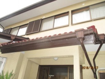 雨樋被害