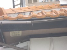 柴6
