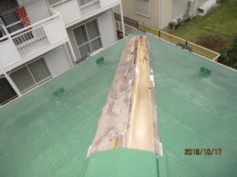 IMG_1855-3-columns2