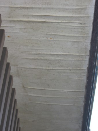 IMG_19801-columns2