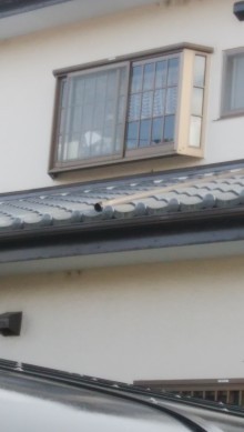 這い樋1