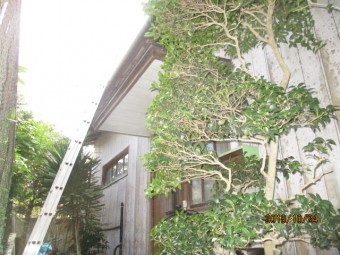 台風被害工事